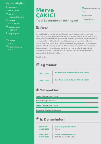 Laboratuvar Teknisyeni Cv Örnekleri cv indir